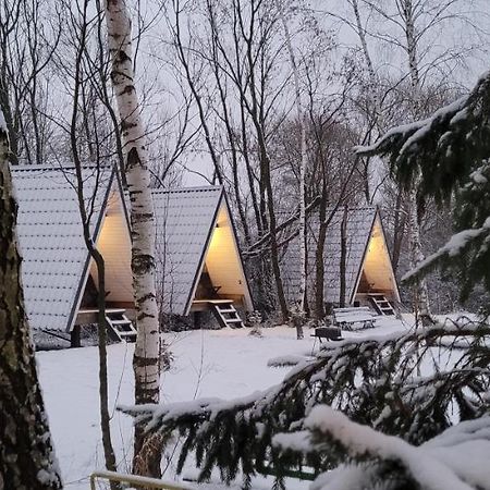 Vigio Brasta Camping Elektrenai Εξωτερικό φωτογραφία
