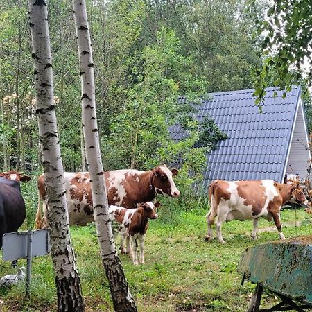 Vigio Brasta Camping Elektrenai Εξωτερικό φωτογραφία