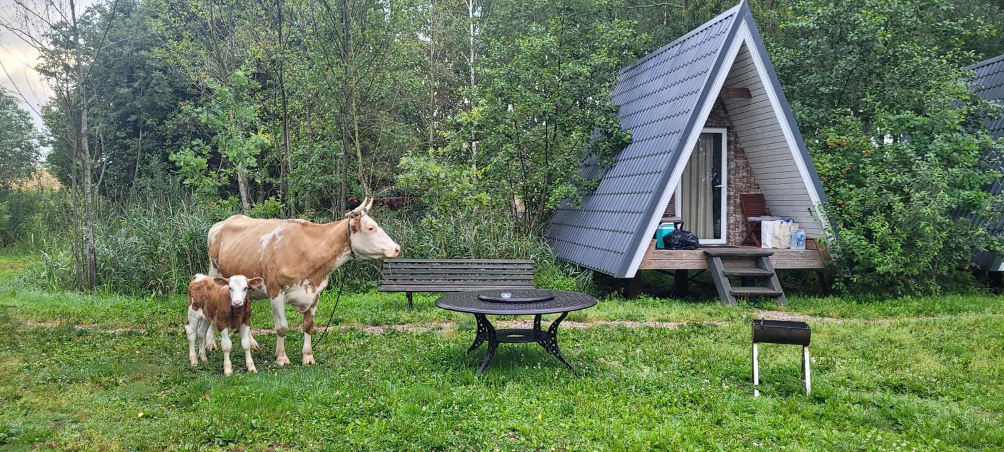 Vigio Brasta Camping Elektrenai Εξωτερικό φωτογραφία